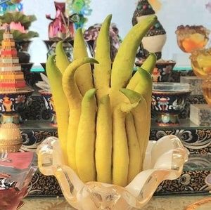 Meet your Posher, Ning